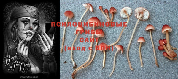 гашиш Кукмор