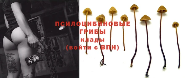 спайс Куйбышев